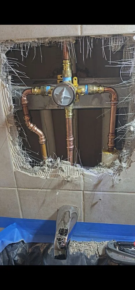 Slide of Eudomal Plomero