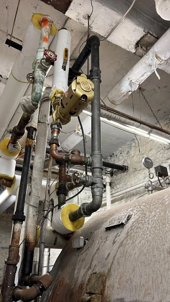 Slide of Eudomal Plomero