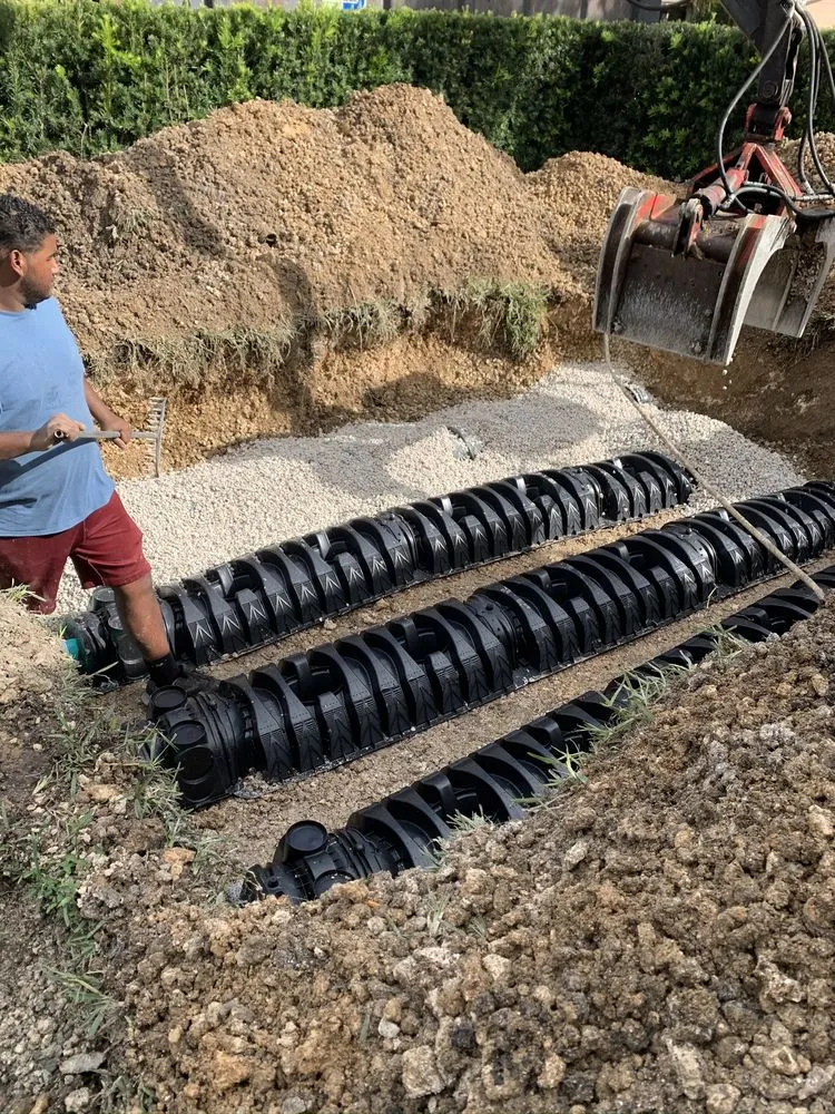 Slide of EUS International Septic