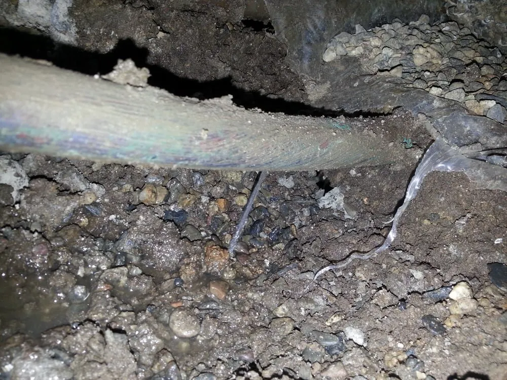 Top-rated emergency plumbing service in Orange, CA - Evans Leak Detection and Slab Leak Repair