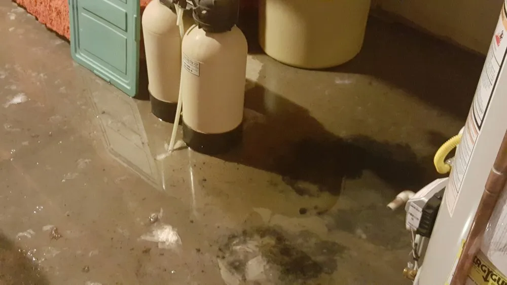 Slide of Evans Rooter Service