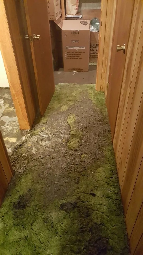 Slide of Evans Rooter Service