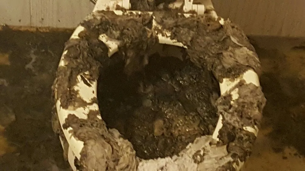 Slide of Evans Rooter Service