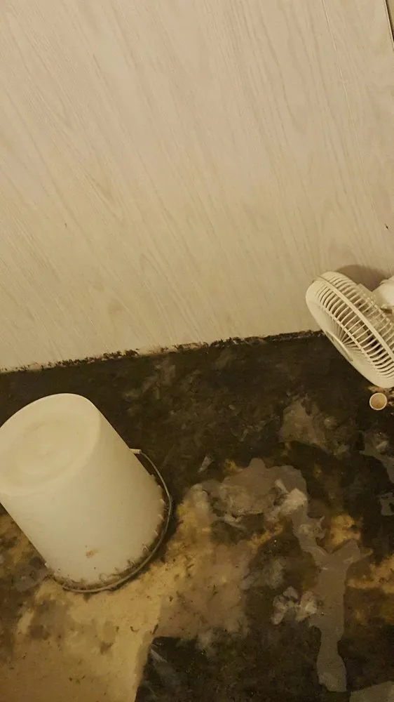 Slide of Evans Rooter Service