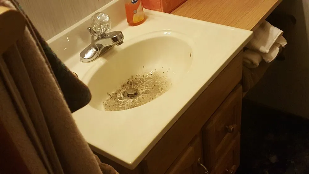 Slide of Evans Rooter Service