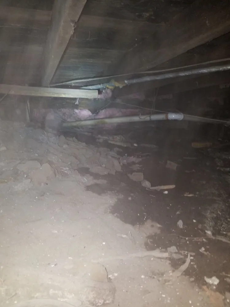 Top-rated emergency plumbing in Ferndale, MI by Even Flow Plumbing and Drain Cleaning