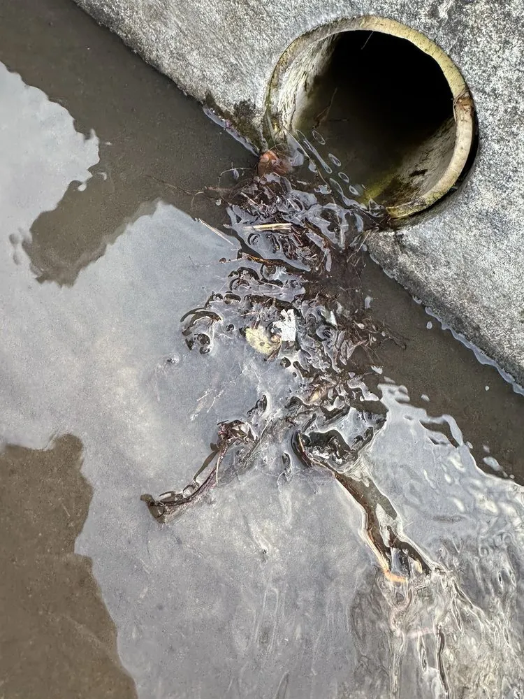 Slide of Ever Plumbing Underground