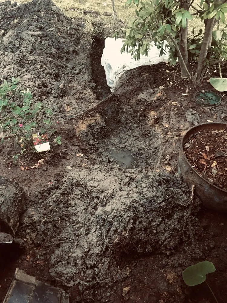 Expert drain cleaning for homes in Royse City, TX by Everflow Plumbing