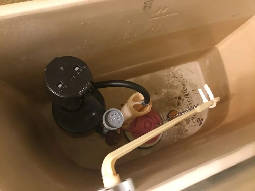 Top-rated plumbing repair service in Puyallup, WA - Evergreen Plumbing Authority & Water Cleanup