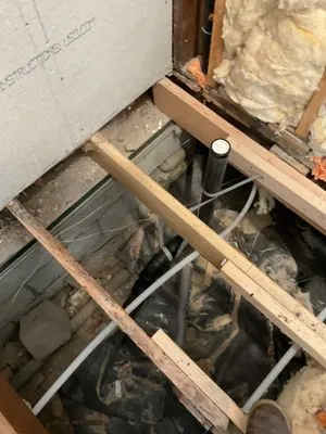 Evergreen Plumbing Authority & Water Cleanup