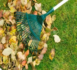 Slide of Evergreen Ponds Cleaning Service