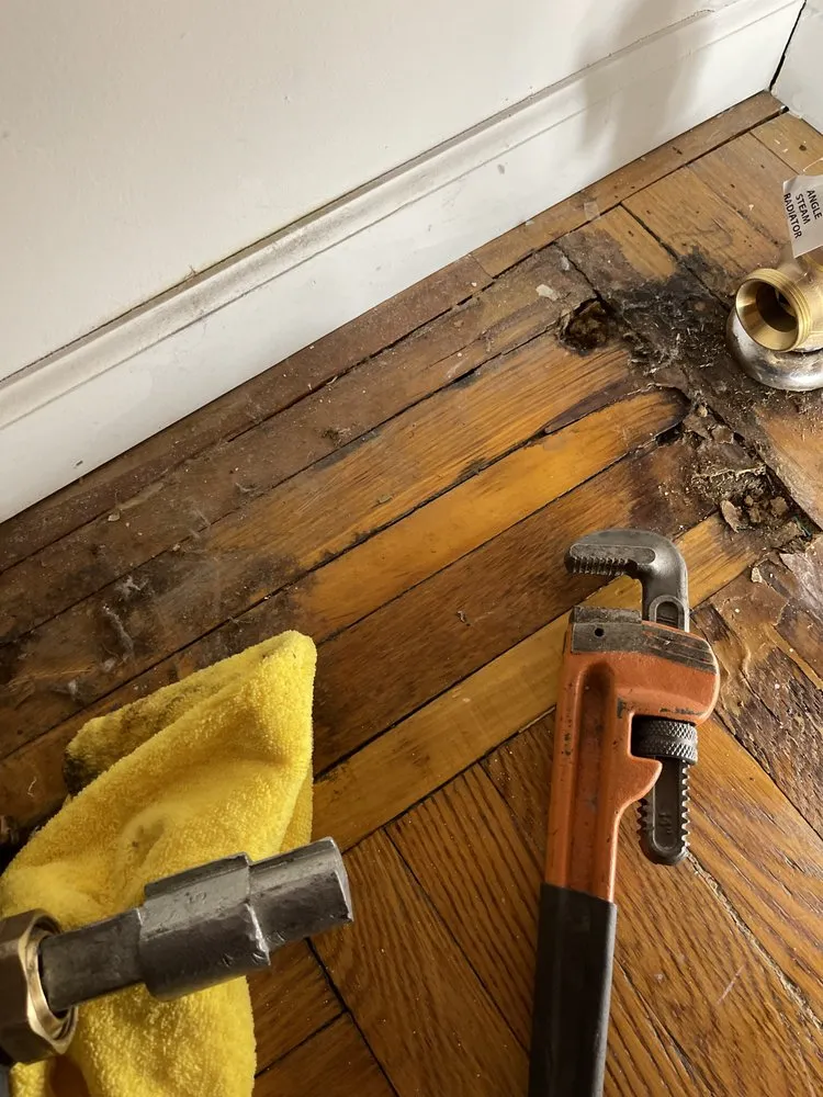 Slide of Every Nook And Kranny