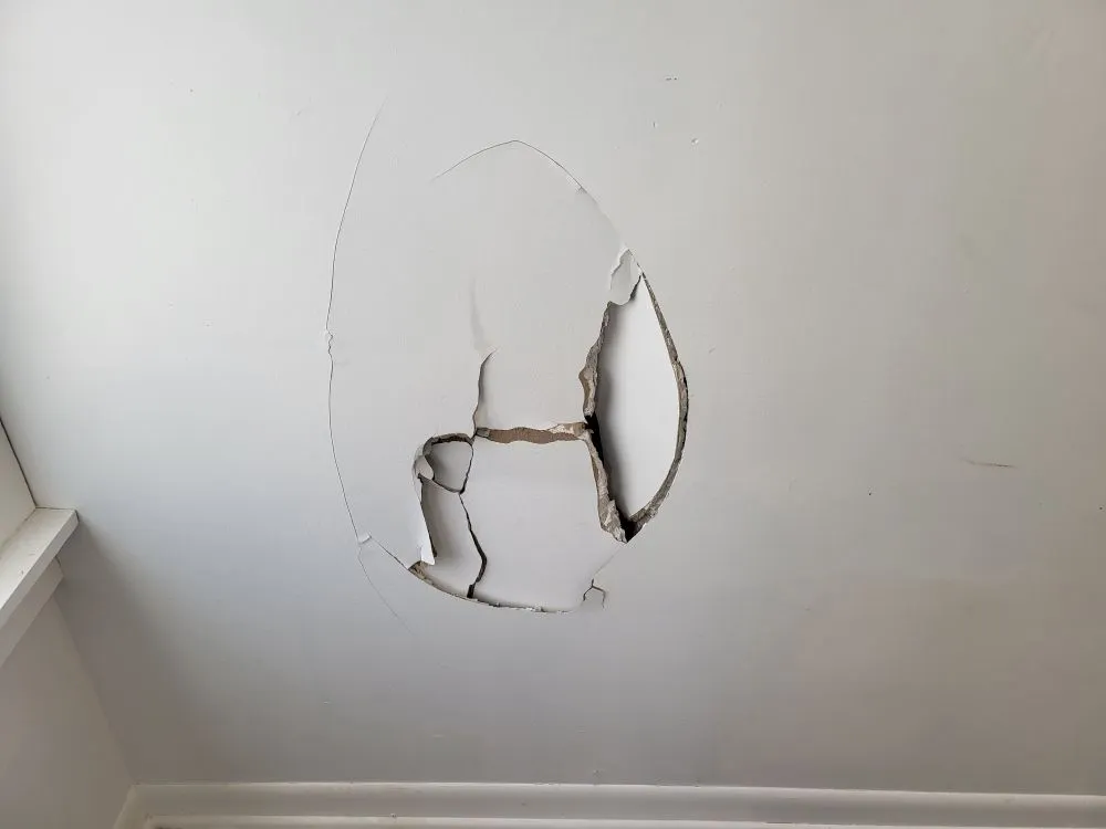 Slide of Everyday Handyman