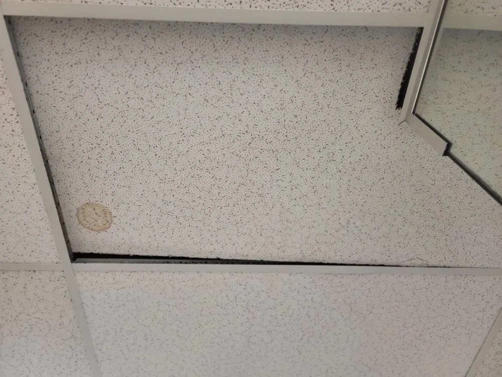 Slide of Everyday Handyman