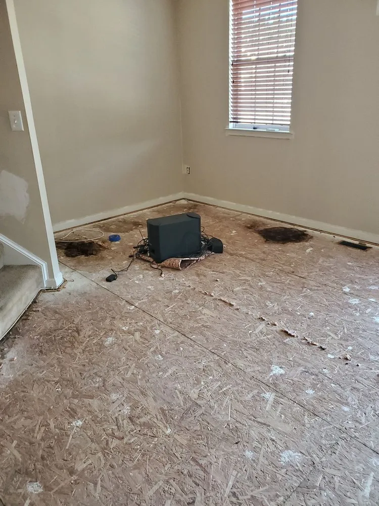 Reliable drain cleaning in New Castle, DE by Everything & Anything Home Improvement