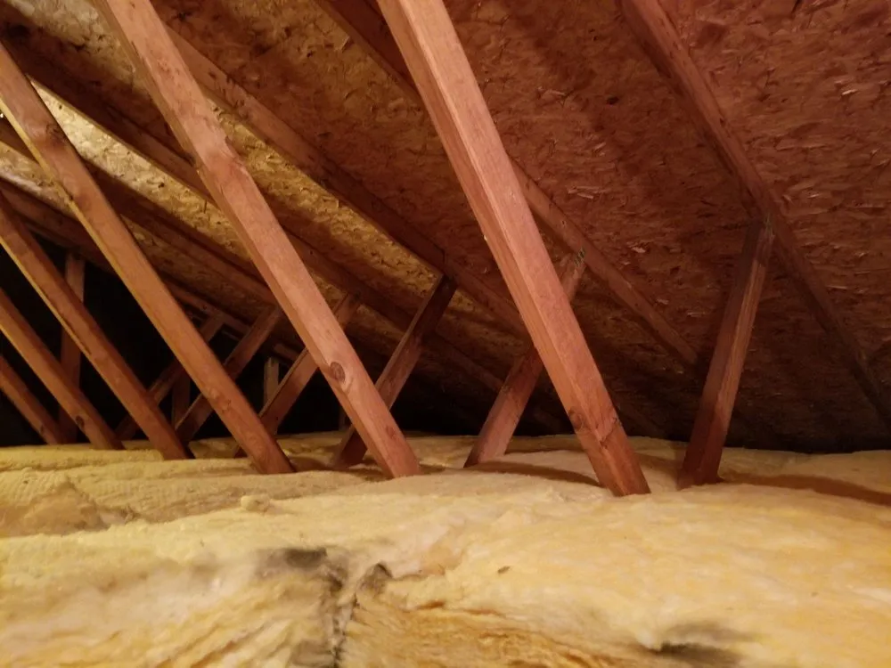 Affordable leak detection for homes in New Castle, DE by Everything & Anything Home Improvement