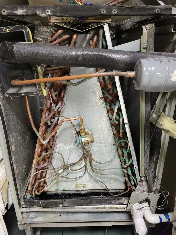 Slide of Everything All The Time