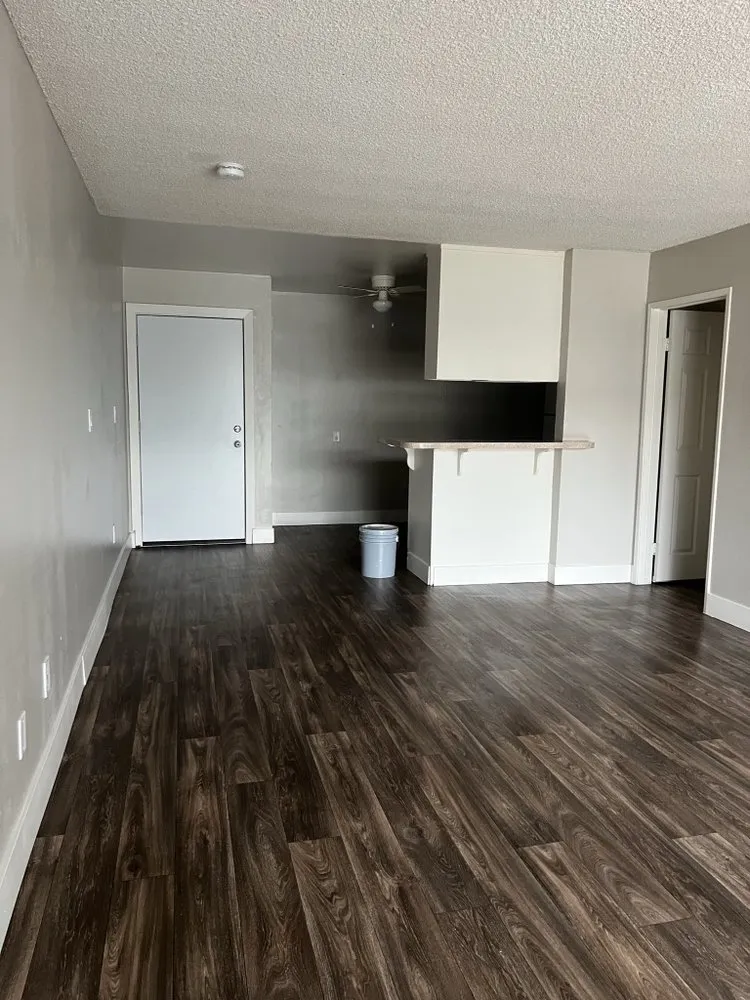 Reliable drain cleaning for homes in San Diego, CA by Eve’s Renovation Services