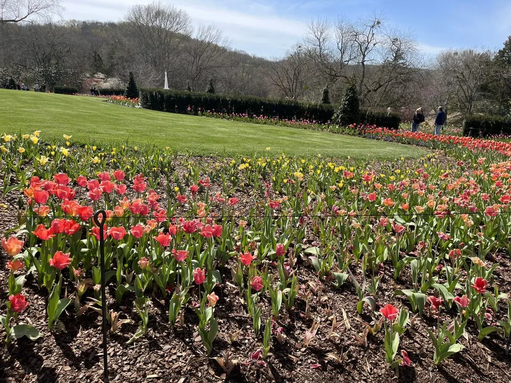 Slide of Evolution Irrigation