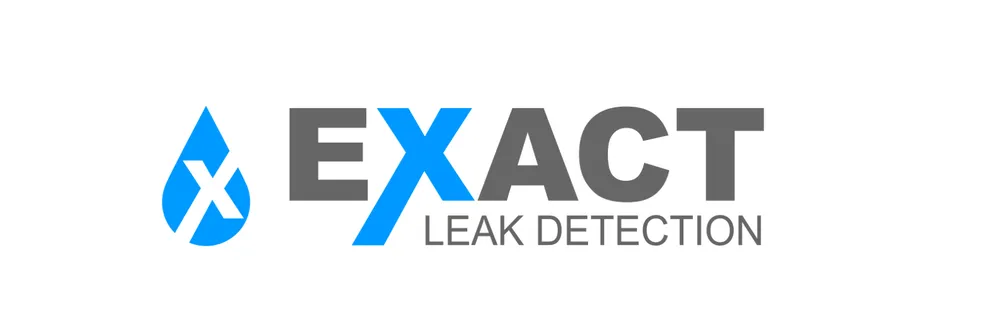 Slide of Exact Leak Detection