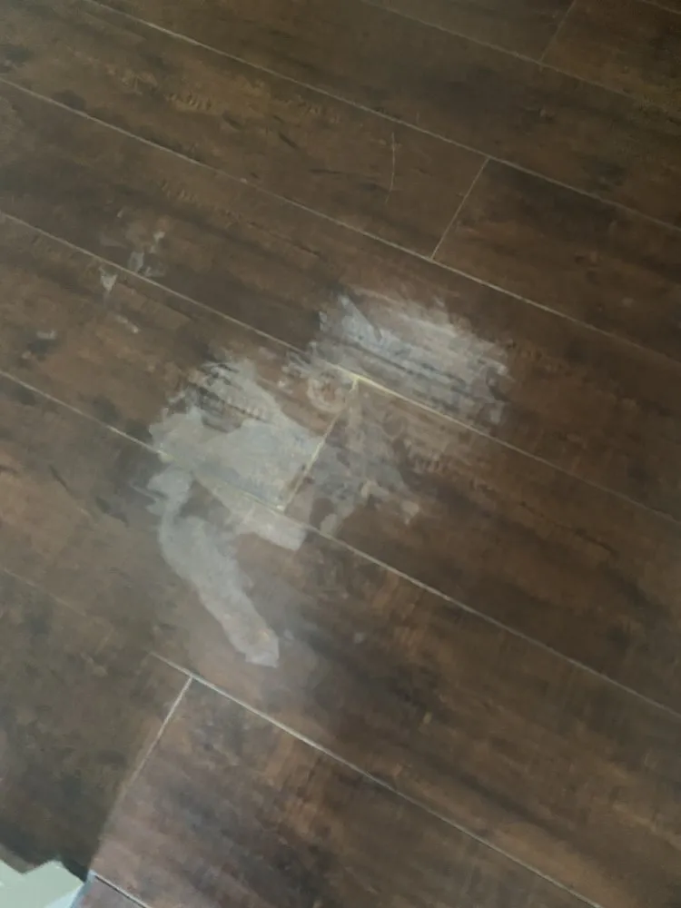 Slide of Excellent Handyman