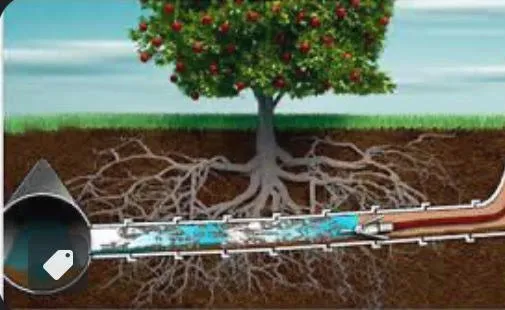 Slide of Exceptional Drain Cleaning