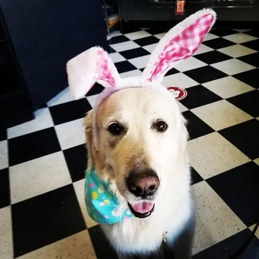 Slide of Exner Plumbing