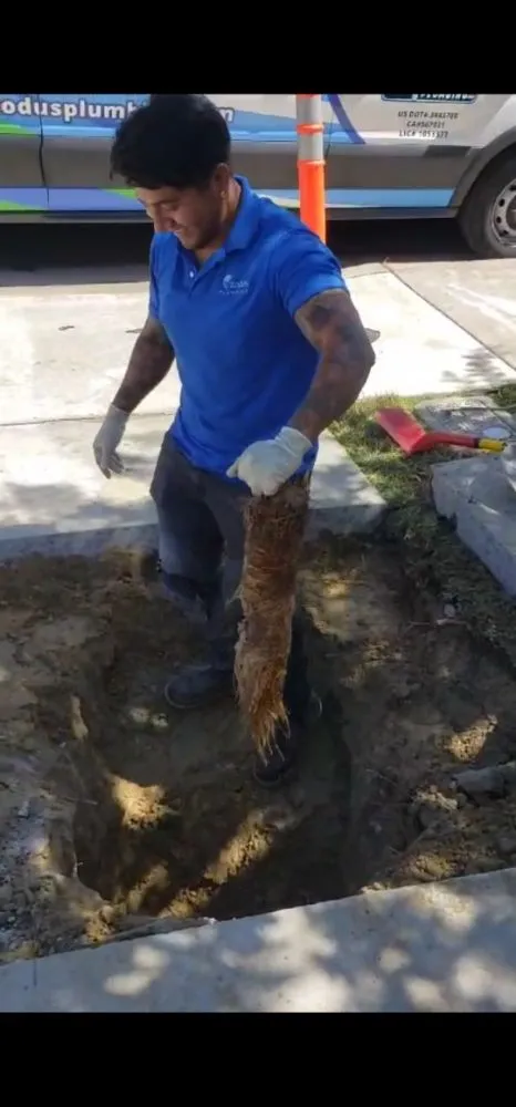 Slide of Exodus Plumbing