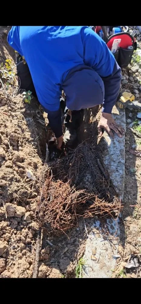 Slide of Exodus Plumbing