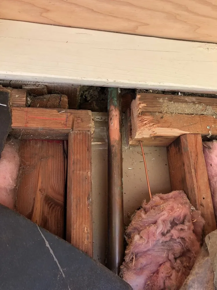 Slide of Expert Drain & Plumbing