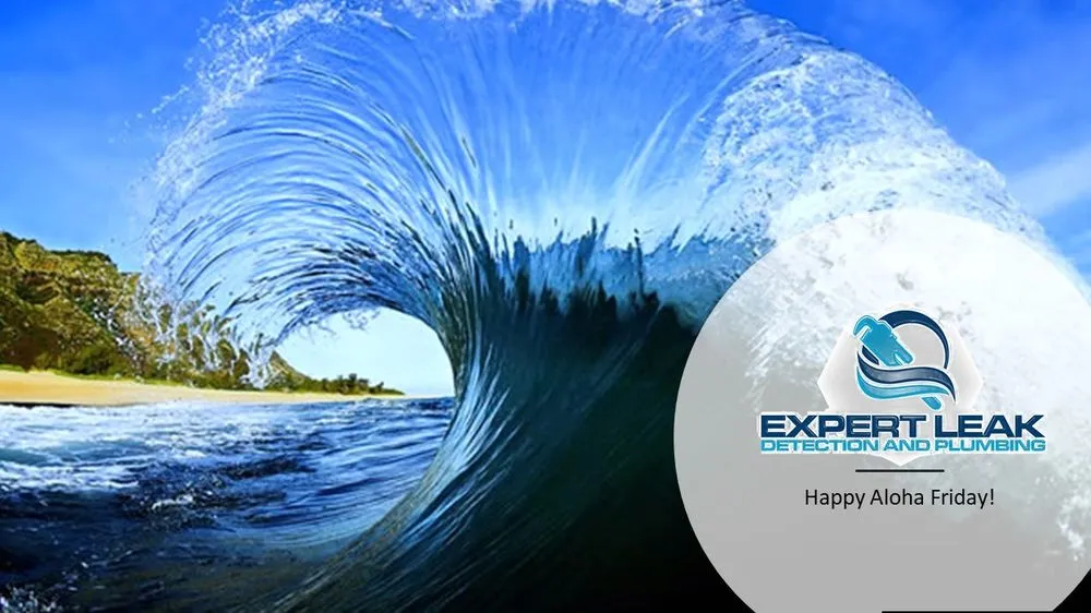 Reliable drain cleaning experts serving Las Vegas, NV - Expert Leak Detection and Plumbing