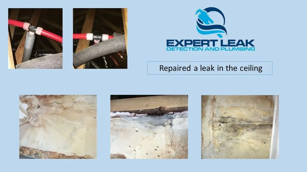 Slide of Expert Leak Detection and Plumbing