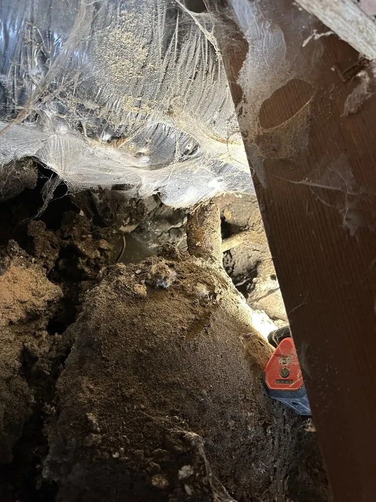 Slide of Expert Pipe Solutions