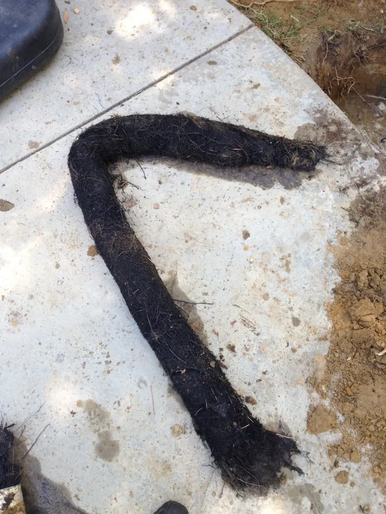Emergency leak detection experts serving Fort Worth, TX - Expert Plumbing & Rooter