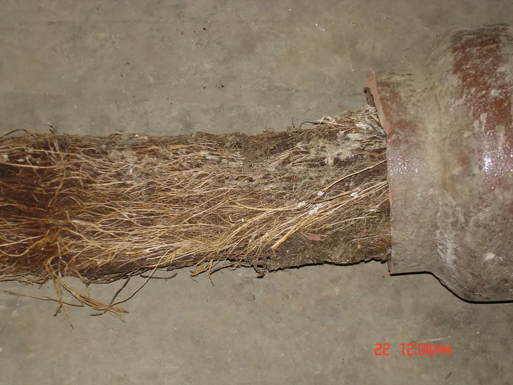 Top-rated drain cleaning experts serving New Lenox, IL - Expert Plumbing Service