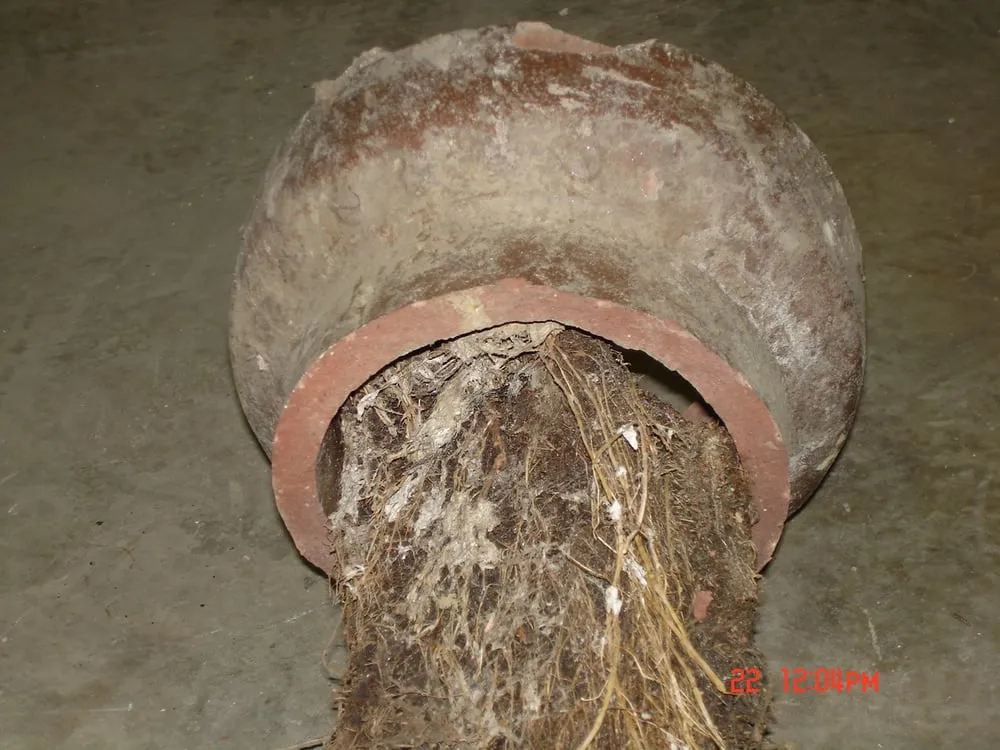 Emergency plumbing repair service in New Lenox, IL - Expert Plumbing Service