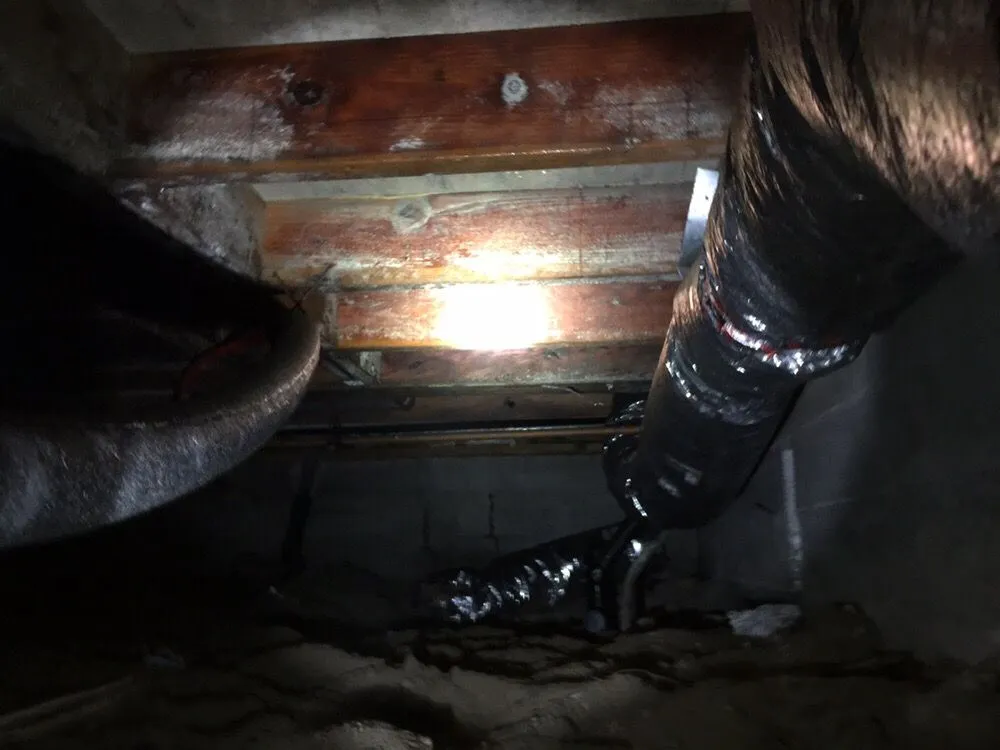 Emergency emergency plumbing service in Canyon Lake, CA - Expert Restoration & Construction Services