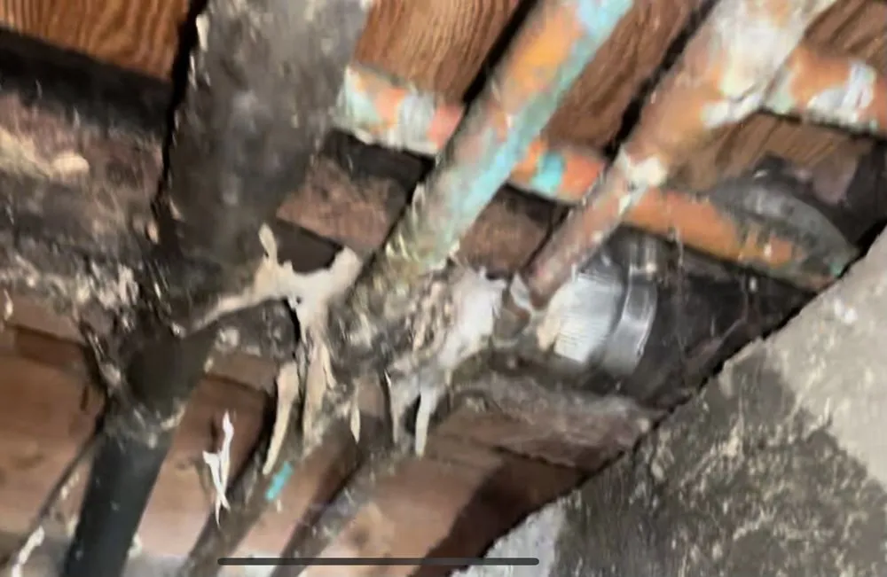 Slide of Expert Rooter & Plumbing