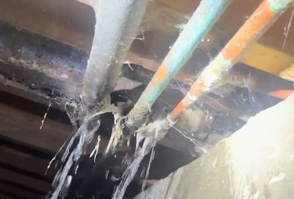 Slide of Expert Rooter & Plumbing