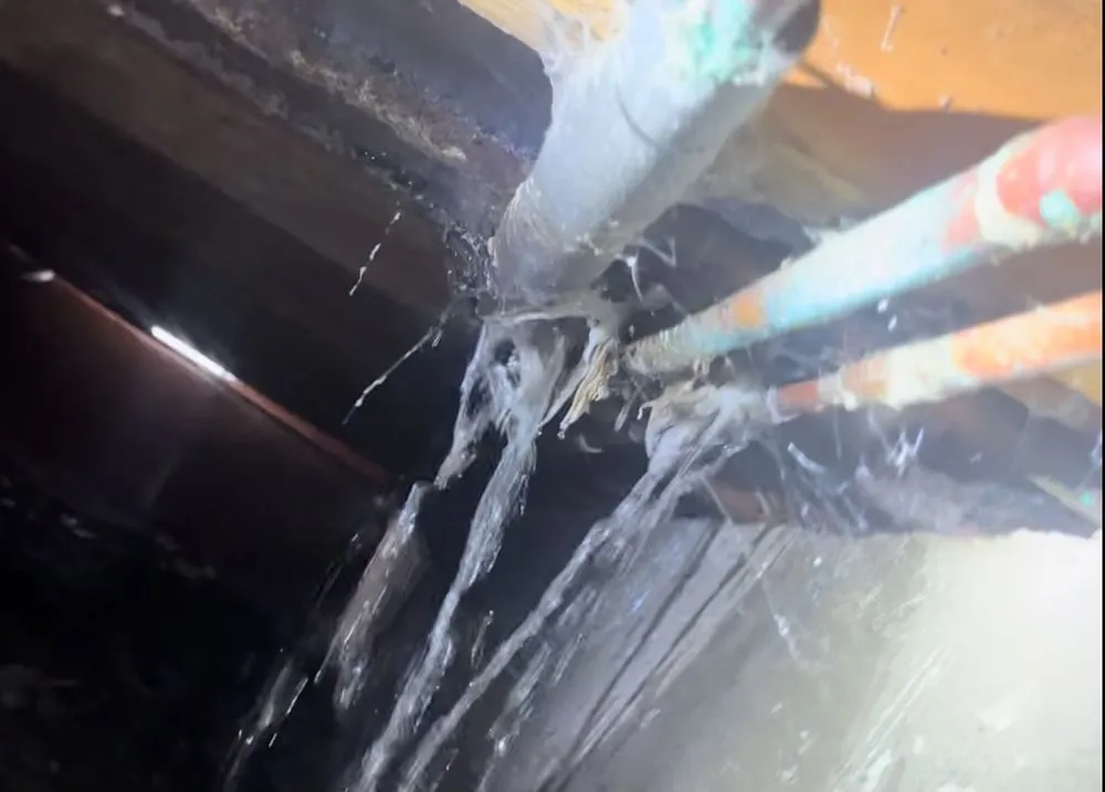 Slide of Expert Rooter & Plumbing