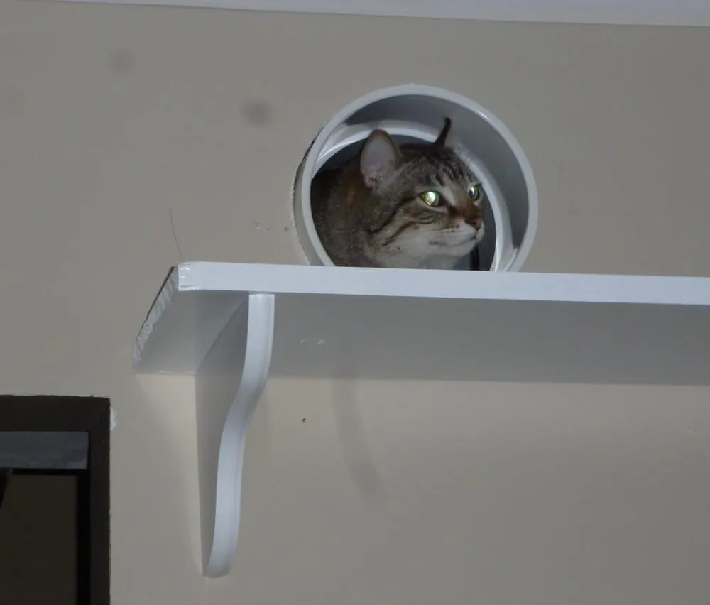 Slide of Express Home Repair Handymen Service