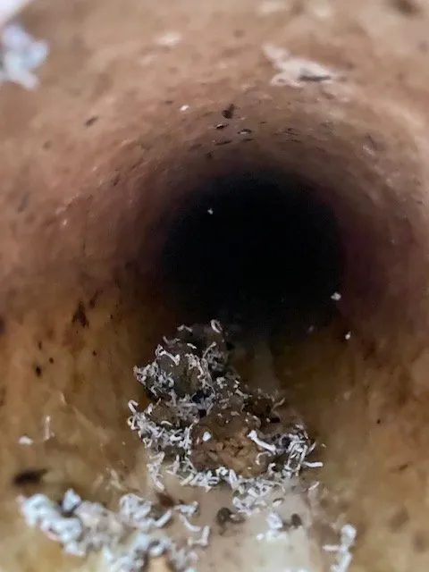 Slide of Express Hydro Jetting