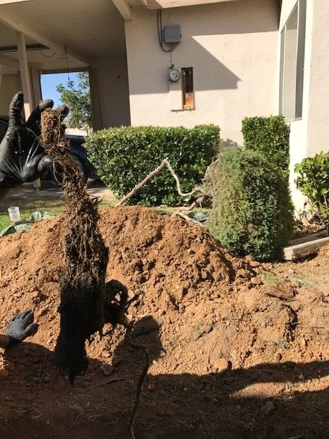 Slide of Express Plumbers