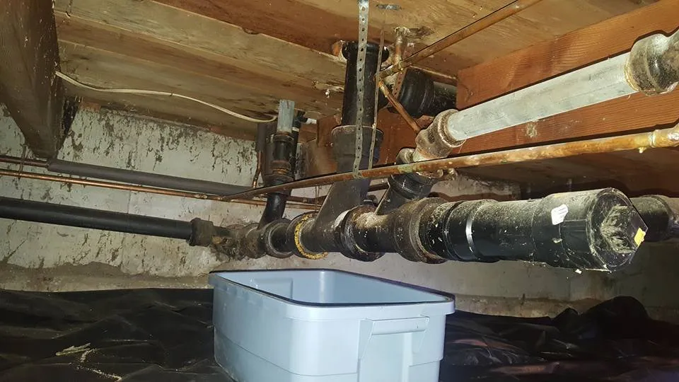 Slide of Express Plumbing & Repiping