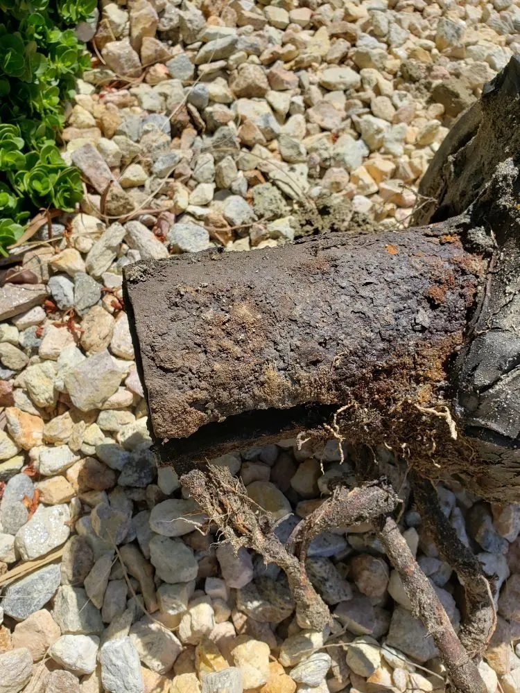 Slide of Express Plumbing And Drain Service