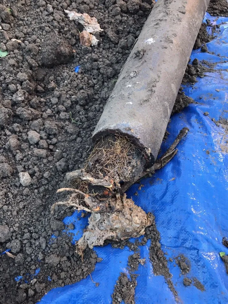 Slide of Express Plumbing And Rooter Service