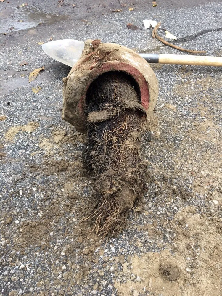 Slide of Express Plumbing And Rooter Service