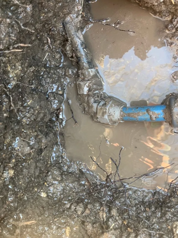 Slide of Express Plumbing