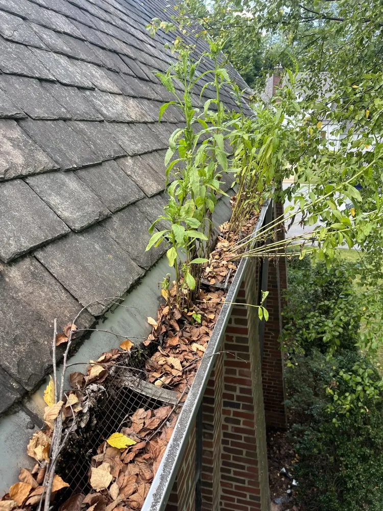 Slide of Extra Hands