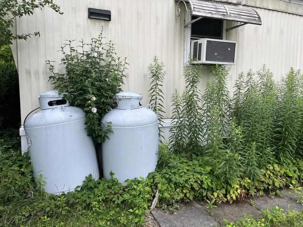 Slide of Extra Hands